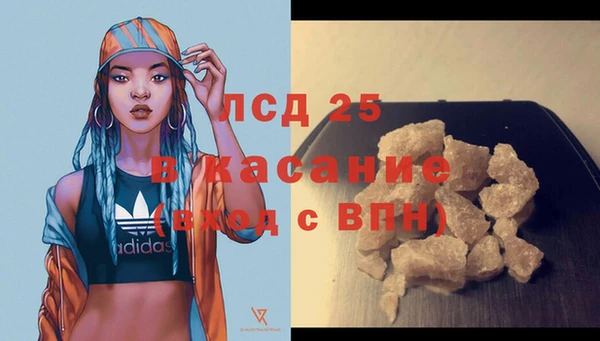 индика Белоозёрский