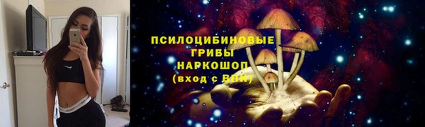 круглые Белокуриха