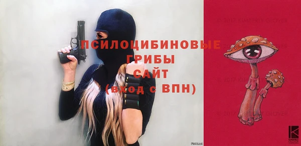 индика Белоозёрский