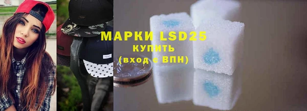 индика Белоозёрский