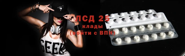 индика Белоозёрский