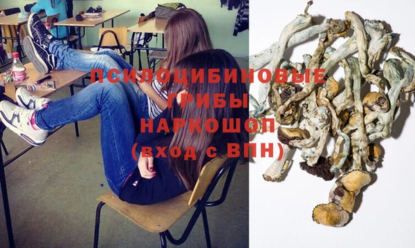 индика Белоозёрский
