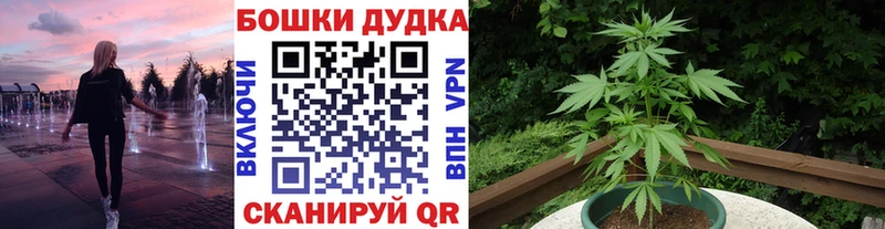 Бошки Шишки MAZAR  магазин    Кувандык 